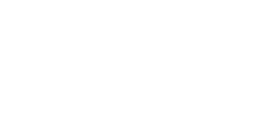 logo bianco di Virality System